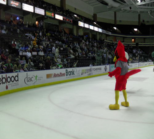 rocky entertaining.jpg