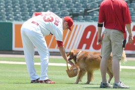 6-13-10<br />
130.JPG