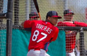 Oscar Taveras (Photo: USA Today Sports)